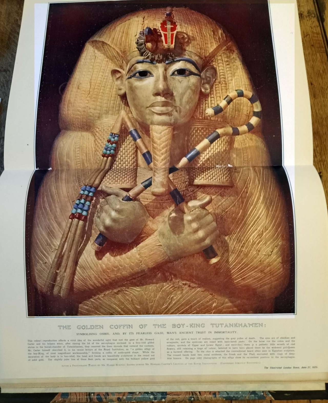 tut in gold